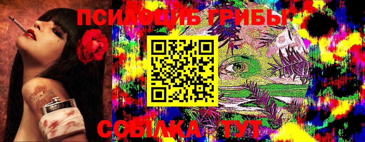 Муравленко  Псилоцибиновые грибы Cubensis  Вход с VPN  Псилоцибиновые грибы ЛСД 