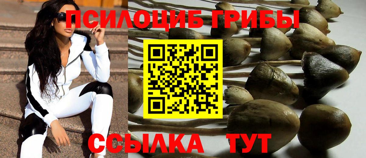 Псилоцибиновые грибы Psilocybine cubensis Муравленко